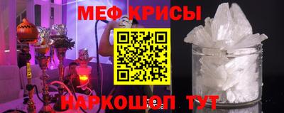 мдпв Кингисепп