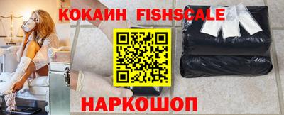 мдпв Кингисепп