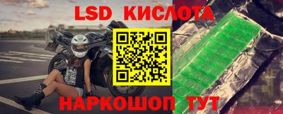мдпв Кингисепп