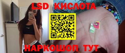мдпв Кингисепп