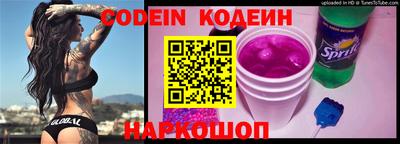 мдпв Кингисепп