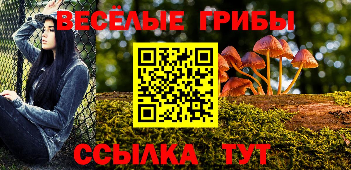 Галлюциногенные грибы мицелий Ярославль