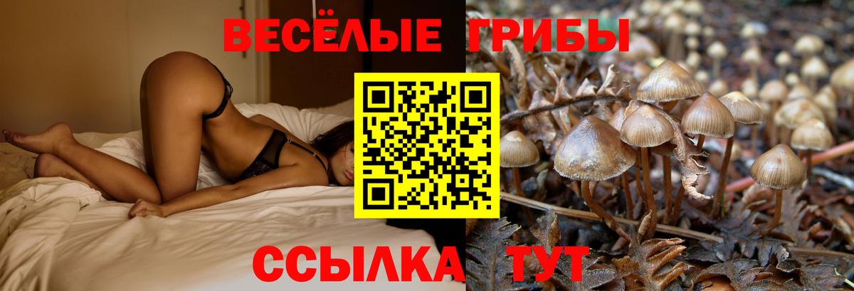 Ярославль  Псилоцибиновые грибы Magic Shrooms  Галлюциногенные грибы ЛСД  Вход с VPN 